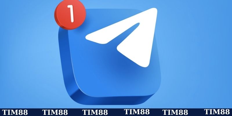 Giải đáp thắc mắc TIM88 có hỗ trợ Telegram không