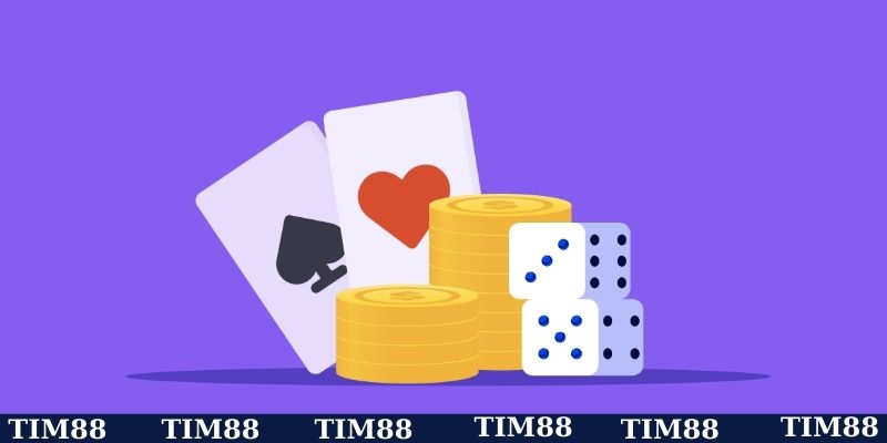 Giới thiệu TIM88 về giấy phép chứng nhận