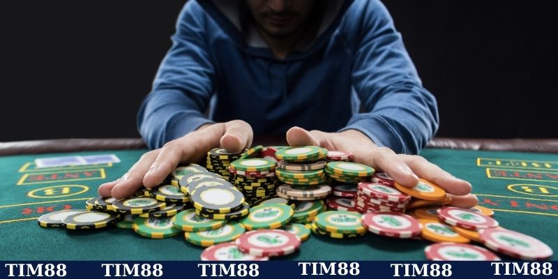 Lý do xuất hiện tin đồn thất thiệt về TIM88